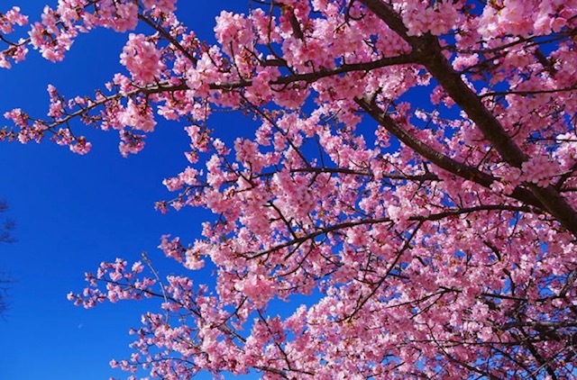 2022年4月5日