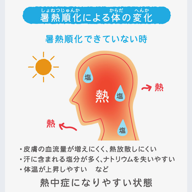 2023年8月22日　暑熱順化リセットされてしまうタイミングは？．．．　今でしょ！（古―い）
