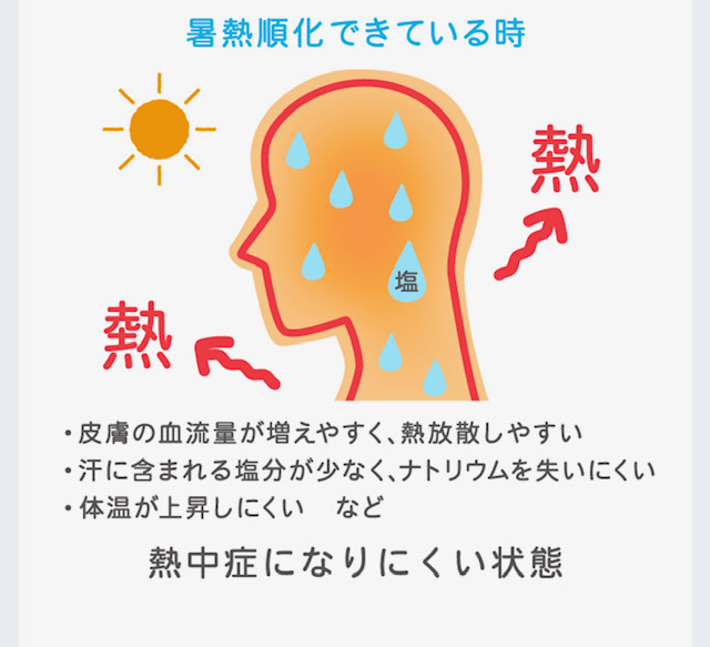 2023年8月22日　暑熱順化リセットされてしまうタイミングは？．．．　今でしょ！（古―い）