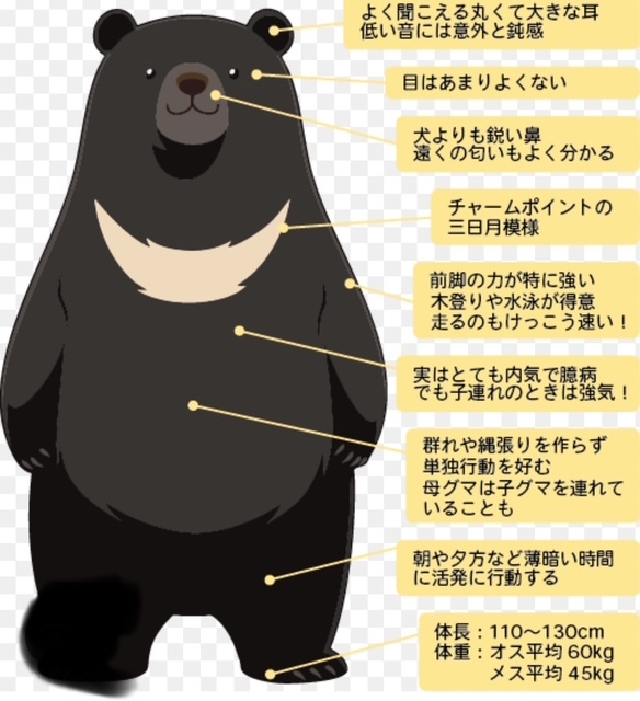 2024年6月4日　ゲリラ豪雨