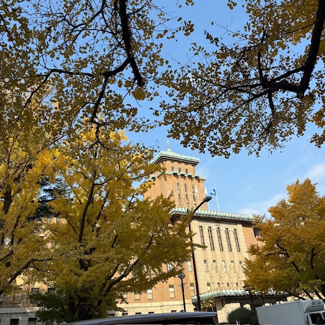 2024年6月4日　ゲリラ豪雨
