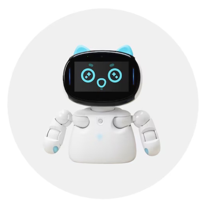 2026年1月6日 抱 負