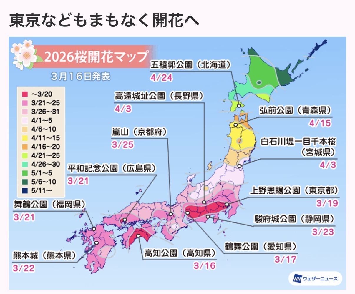 2026年1月6日 抱 負