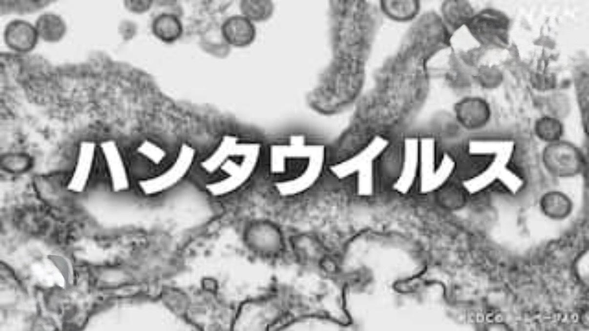 2026年1月6日 　　抱    負